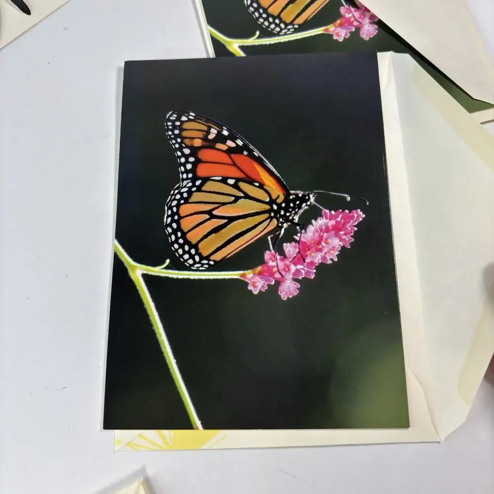 Lot 8 Monarch Butterfly Greeting Cards Blank w/ Envelopes Vivid Photos Garden